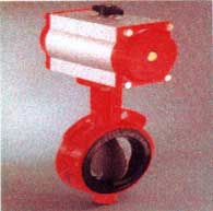 Butterfly Valves